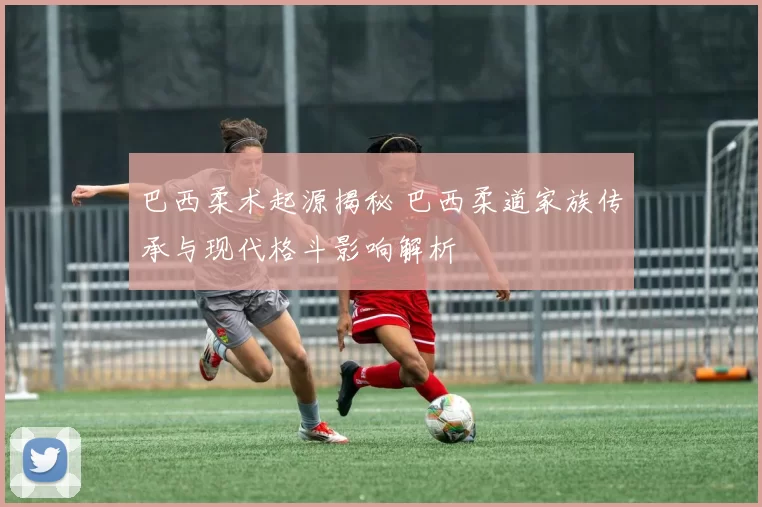 巴西柔术起源揭秘 巴西柔道家族传承与现代格斗影响解析